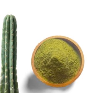 buy san pedro powder
